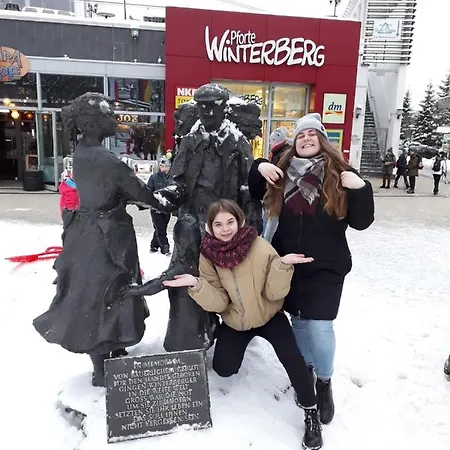 דירה Appartement Winterberg Fuer Bis 3 Personen ווינטרברג