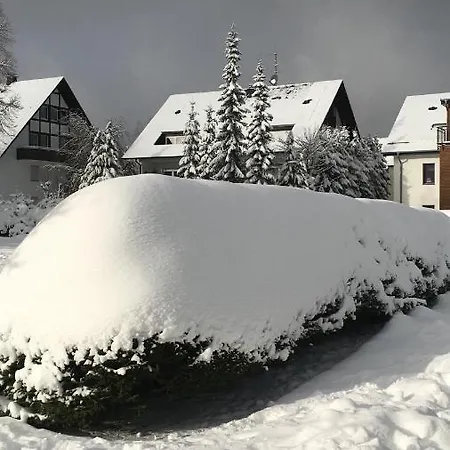 Apartment Winterberg An Der Erlebniskappe Zur Mountainbikestrecke