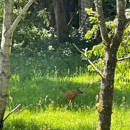 Appartement Winterberg Fuer Bis 3 Personen * ווינטרברג