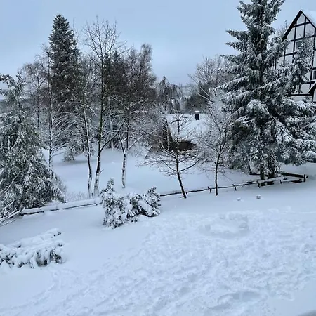 App Winterberg Mit Fahrradkeller Fuer Bis 3 Personen Daire