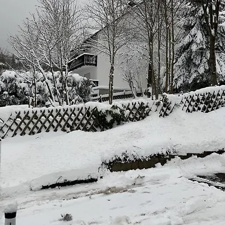 Appartement Winterberg Fuer Bis 3 Personen