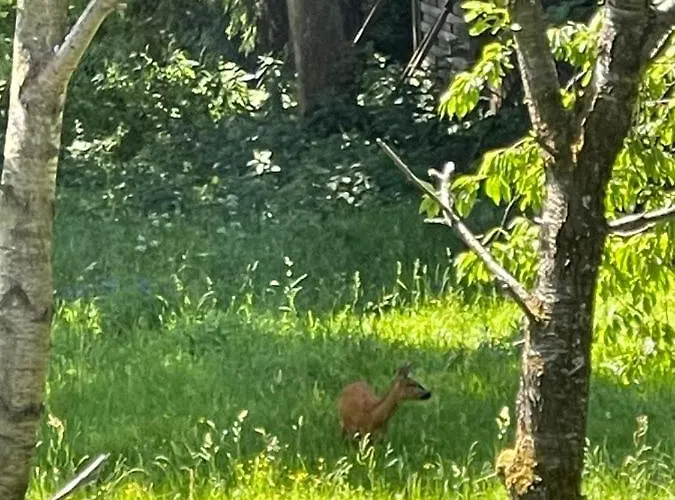 Fuer Bis 3 Personen * Winterberg